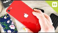 Best iPhone SE 2020 Cases & Covers