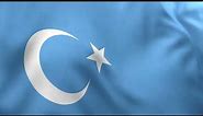 East Turkestan Uyghur Flag Animation | 4k | Flags of the World