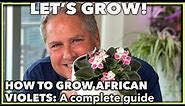 AFRICAN VIOLETS THE COMPLETE GUIDE