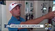 Pest expert helps Mesa woman whose apartment complex is infested with scorpions