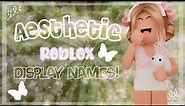 15+ Aesthetic ROBLOX Display Name Ideas! | Peachy Soul
