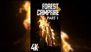 3HRS of Relaxing Forest Campfires for Tablets & Phones - 4K Vertical Screen Video + Fire Sound #1
