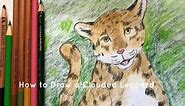 How to Draw a Clouded Leopard, Art Project for Kids, Little Woods Art