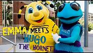 BVB goes NBA | EMMA meets Hugo the Hornet | Mascot Meetup