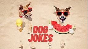 75 of the Doggone Best Dog Jokes
