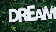 50 Follow Your Dreams Quotes to Push You to Greatness