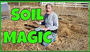 How to Transform Bad Soil Into Good Soil