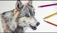 HOW TO DRAW A REALISTIC WOLF | Colored Pencil Drawing Tutorial