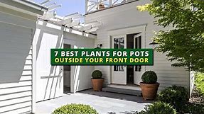 7 Best Plants for Pots Outside Your Front Door | Curb Appeal 💕
