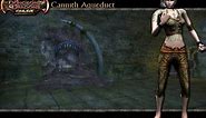 Sacrifices, Dungeons and Dragons Online, Full Walkthrough