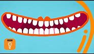 Some fun and freaky facts about teeth | BBC Ideas