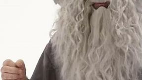 🧙‍♂✨Gandalf Costume - The Lord of the Rings - Made By Funidelia