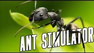 HOW TO BE AN ANT! GiAnt Ant Simulator (Random Crap Friday)