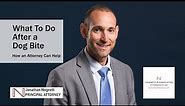 What To Do After a Dog Bite: How an Attorney Can Help