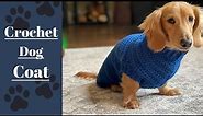 Crochet a Cozy Sweater for your Furry Friend! | Easy Pattern & Tutorial