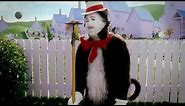 Dirty Hoe! I'm Sorry Baby, I Love You - Cat In The Hat - Meme Source