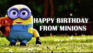 Happy Birthday from Minions