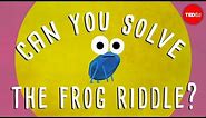 Can you solve the frog riddle? - Derek Abbott