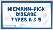 Niemann-Pick disease Types A and B - causes, symptoms, diagnosis, treatment, pathology