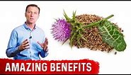 8 Benefits of Milk Thistle for the Liver