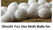 Mothballs for Roaches | Can Mothballs Eliminate Roaches?