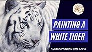 Painting a White Tiger in Acrylics | Painting Timelapse