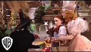 The Wizard of Oz | 75th Anniversary "I'll Get You My Pretty" | Warner Bros. Entertainment