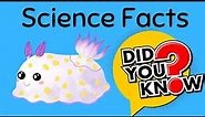 7 Fun Science Facts
