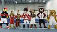 Indiana University Mascot Games