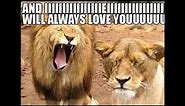 The Most Cute & Funny Love Memes Collection EVER!
