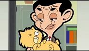 Dead cat | Full Episode | Mr. Bean Official Cartoon
