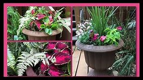 ~DIY~ Mixed Shade Garden Planter Pot's~