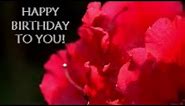 Delightful Happy Birthday Video Card - With dancing flowers 3