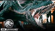 The Raptors of Jurassic World in 4K HDR | Jurassic World