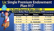 Lic Single Premium Endowment Plan 917 | Lic Fixed Deposit Plan 2022 | Best One Time Investment Plan