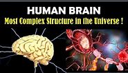 How Powerful is Your BRAIN - Incredible Facts about Human Brain