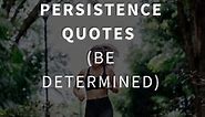 Top 58 Persistence Quotes (BE DETERMINED)