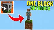 How To INSTALL ONE BLOCK SKYBLOCK in CRAFTSMAN BUILDING CRAFT?!?!