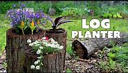 How to Make a LOG PLANTER for Your Garden | Various Methods