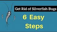 How to Get Rid of Silverfish Bugs Without Professional Help Fast & Permanently