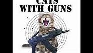 Funniest Cats with Guns