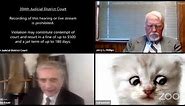 Texas attorney accidentally leaves cat filter on during Zoom call | ABC7