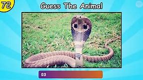 Guess 100 Animals in 10 Minutes (Animal Quiz)