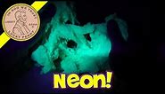Neon Frenzy Sands Alive, Glows Under UV Black Light!