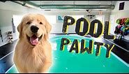 Throwing My Dog a Pool Party