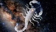 The History of the Constellation of Scorpio