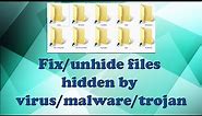 Fix/Unhide files hidden by virus/trojan