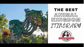 The BEST Disney World Animal Kingdom Itinerary and Genie+ Guide