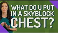 What do u put in a SkyBlock chest?