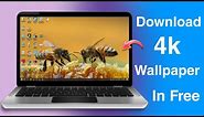 How To Download 4K Wallpapers / Thems For Laptop/PC - Edition 2024